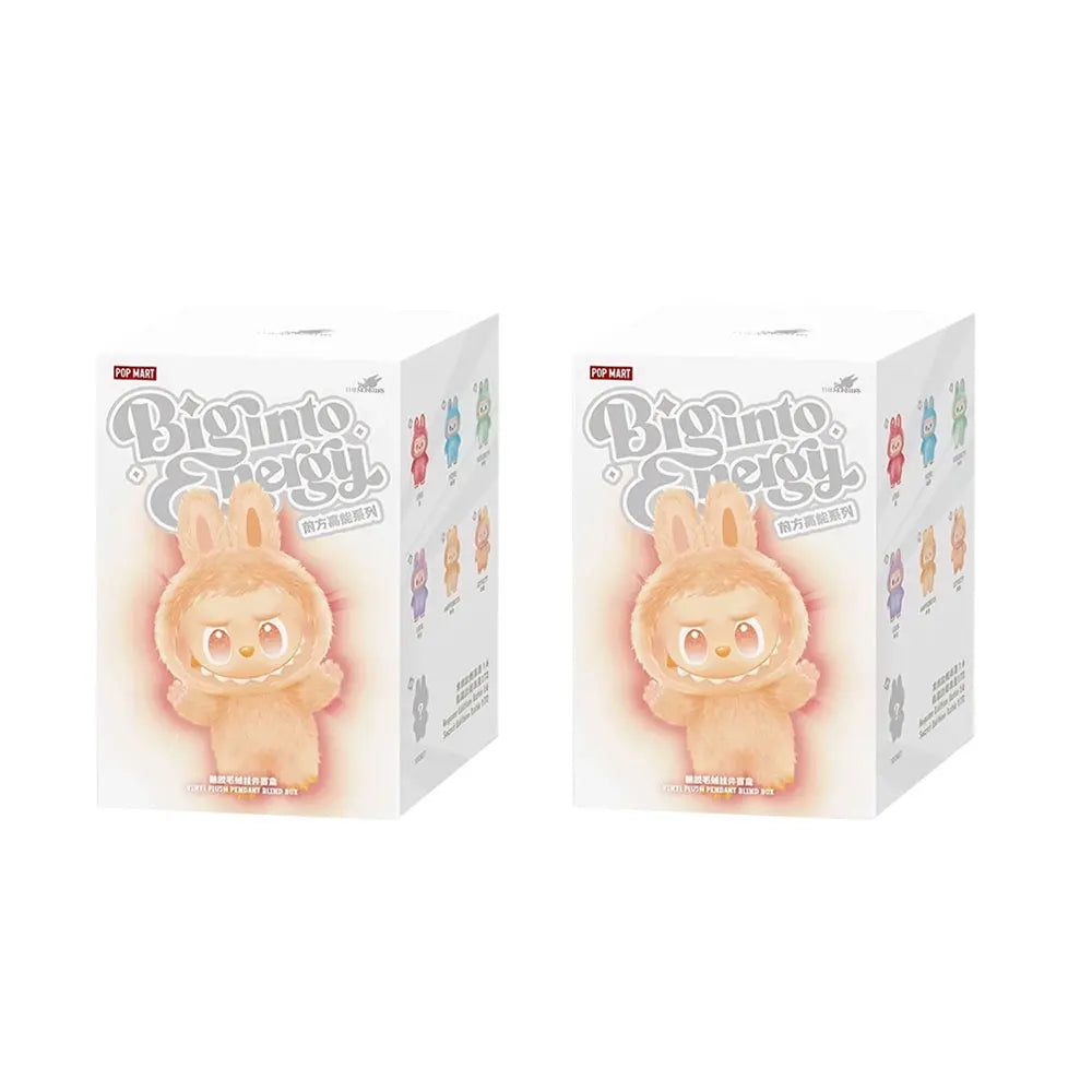 Labubu V3 Blind Box – Teddy Vinyl Keychain Surprise Toy